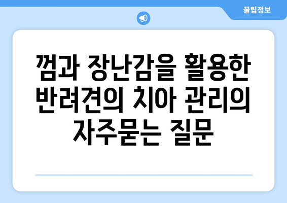 껌과 장난감을 활용한 반려견의 치아 관리