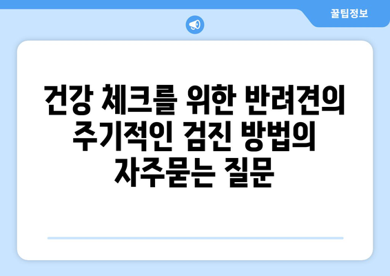 건강 체크를 위한 반려견의 주기적인 검진 방법