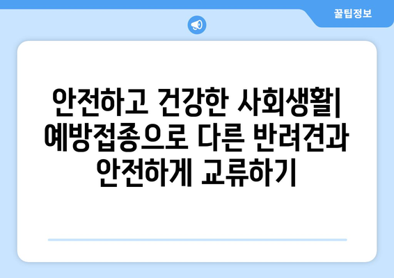 예방접종으로 지킬 수 있는 반려견의 건강