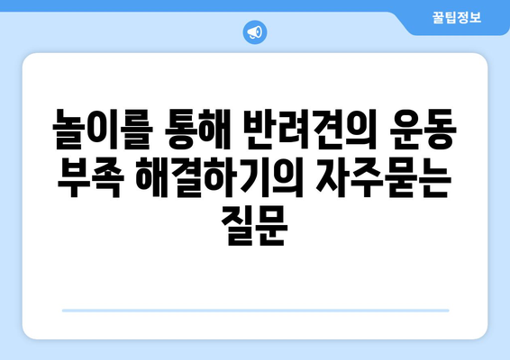 놀이를 통해 반려견의 운동 부족 해결하기