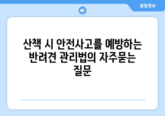 산책 시 안전사고를 예방하는 반려견 관리법