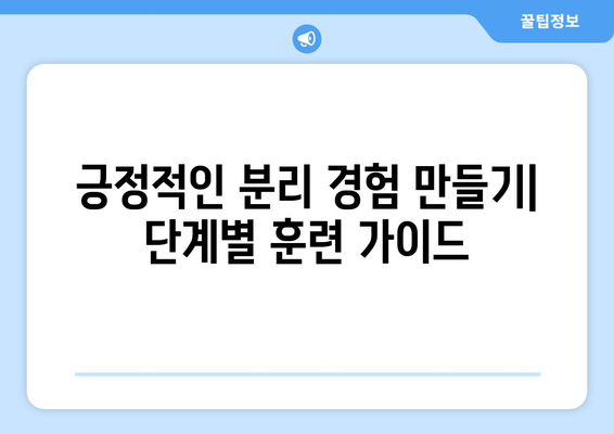 분리불안 해소를 돕는 반려견 놀이와 훈련