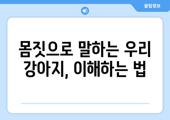 반려견의 행동 이해를 위한 소통 방법