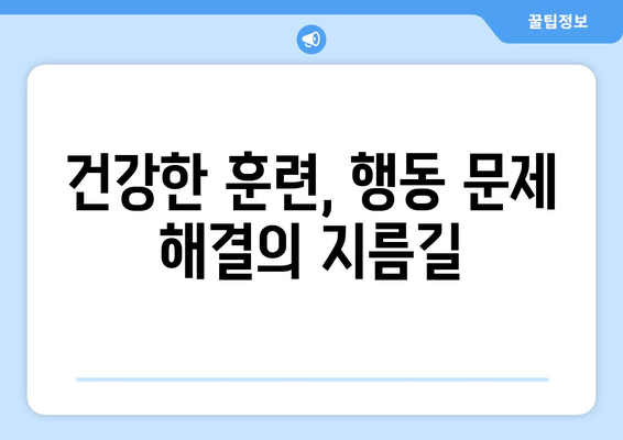 행동 문제를 예방하는 반려견 훈련법