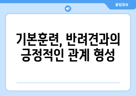 사회화 교육의 시작 시기, 반려견 훈련 팁