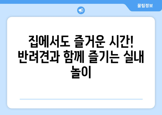 실내에서 반려견과 함께 할 수 있는 놀이 아이디어