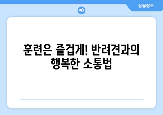 사회화 교육의 시작 시기, 반려견 훈련 팁