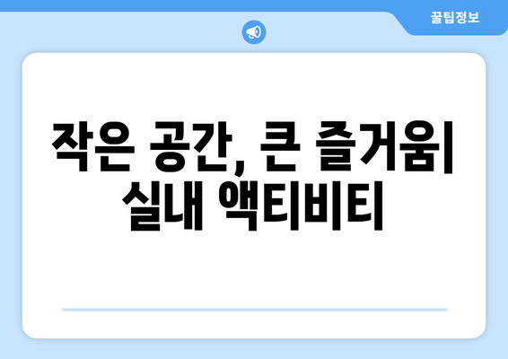 실내에서 반려견과 함께할 수 있는 운동 방법