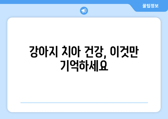 치아 건강을 위한 반려견의 치아 관리법