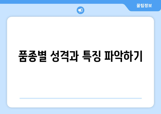 입양 전 알아두면 좋은 반려견의 품종 특징