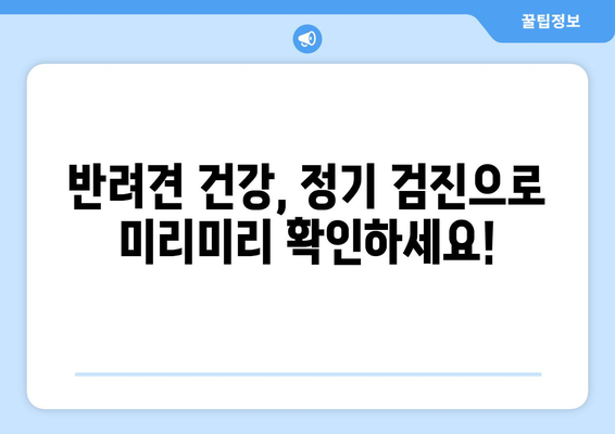 건강 검진으로 알아보는 반려견의 상태 체크