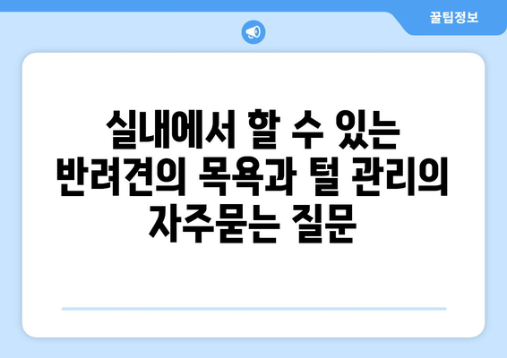 실내에서 할 수 있는 반려견의 목욕과 털 관리