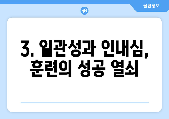 긍정적인 행동을 유도하는 반려견 훈련 방법