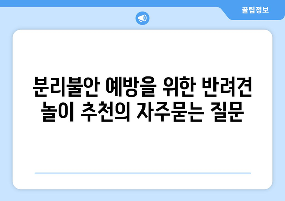 분리불안 예방을 위한 반려견 놀이 추천