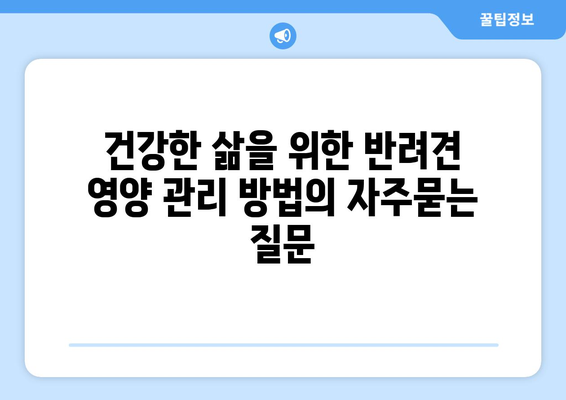 건강한 삶을 위한 반려견 영양 관리 방법