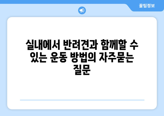 실내에서 반려견과 함께할 수 있는 운동 방법