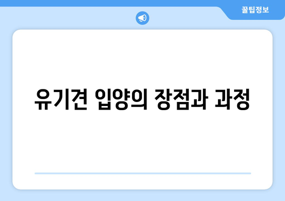 입양 전 꼭 알아야 할 반려견 선택 가이드