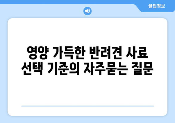 영양 가득한 반려견 사료 선택 기준