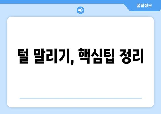 실내에서 할 수 있는 반려견의 목욕과 털 관리