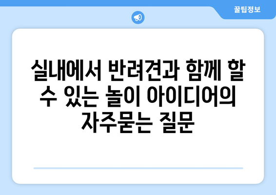 실내에서 반려견과 함께 할 수 있는 놀이 아이디어