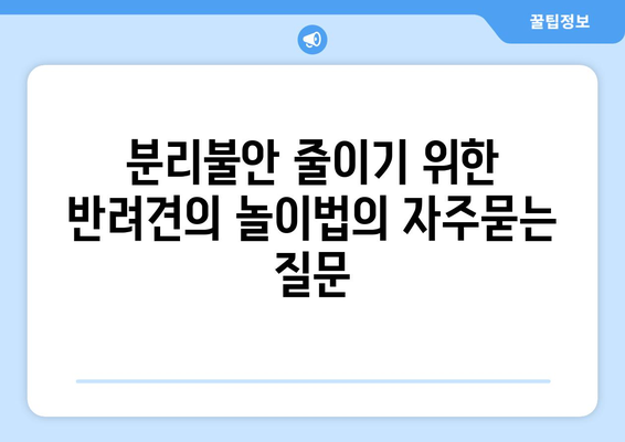 분리불안 줄이기 위한 반려견의 놀이법