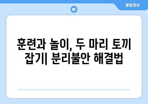 분리불안 예방을 위한 반려견 놀이 추천