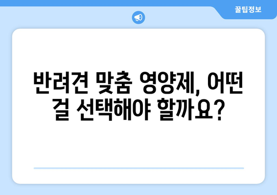 건강한 식단을 위한 반려견 영양제 추천