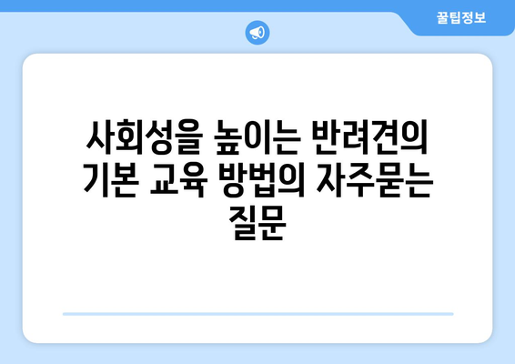 사회성을 높이는 반려견의 기본 교육 방법