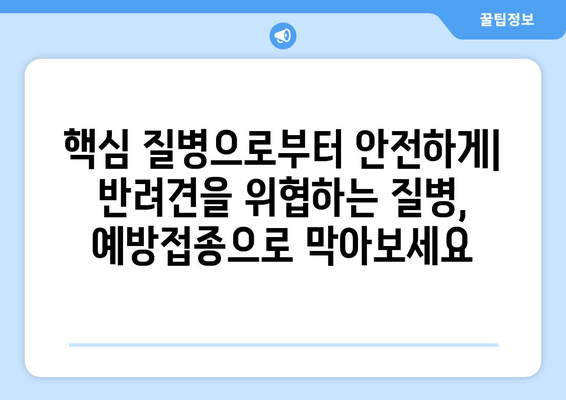 예방접종으로 지킬 수 있는 반려견의 건강