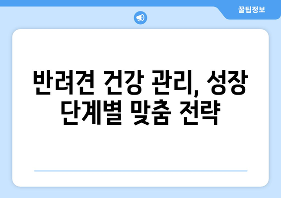 성장 단계에 맞춘 반려견의 건강 관리 방법