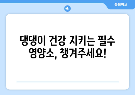 건강한 식단을 위한 반려견 영양제 추천