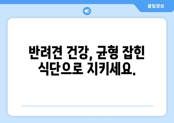 건강한 삶을 위한 반려견 영양 관리 방법