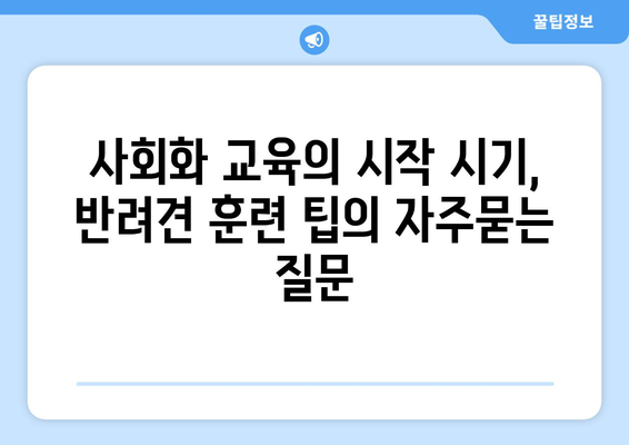 사회화 교육의 시작 시기, 반려견 훈련 팁