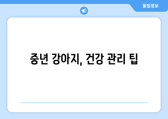 나이별로 다른 반려견의 건강 관리 포인트