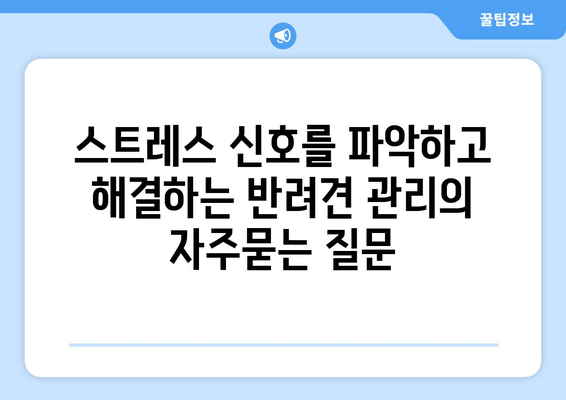 스트레스 신호를 파악하고 해결하는 반려견 관리