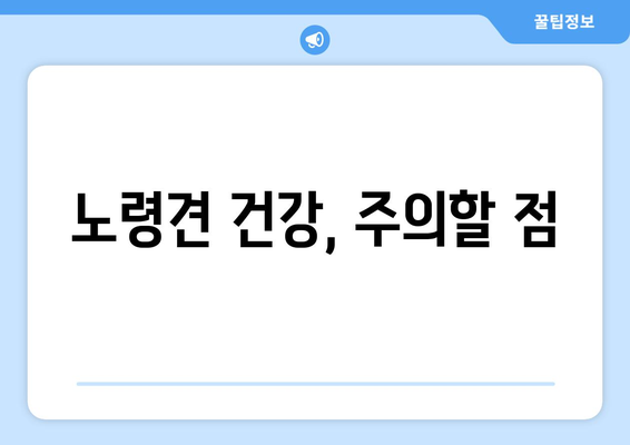 나이별로 다른 반려견의 건강 관리 포인트