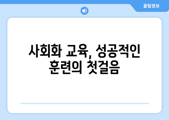 사회화 교육의 시작 시기, 반려견 훈련 팁