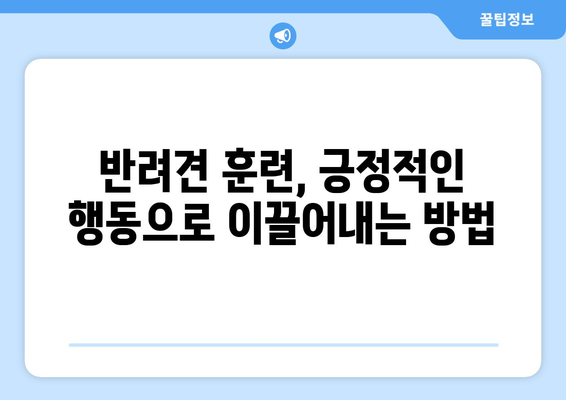 긍정적인 행동을 유도하는 반려견 훈련 방법