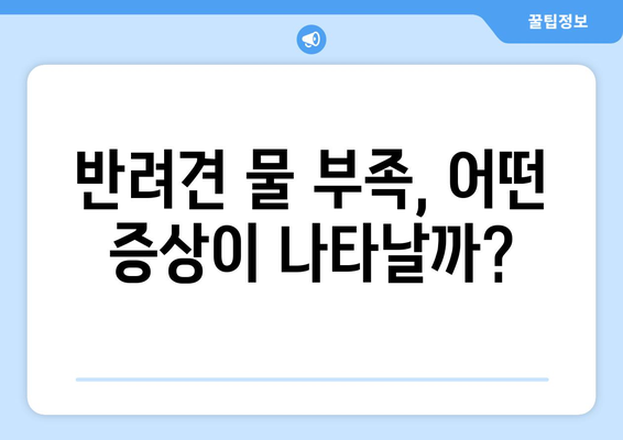 물 섭취량 체크로 반려견 건강 지키기