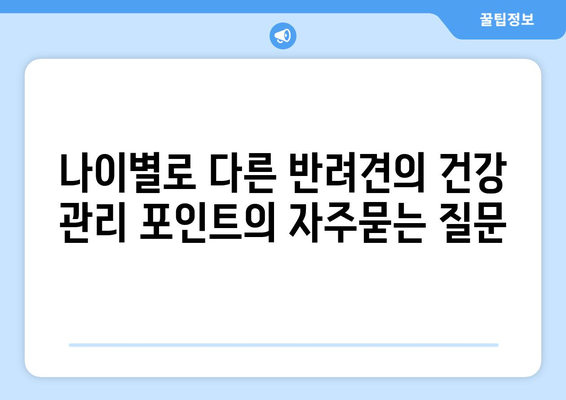 나이별로 다른 반려견의 건강 관리 포인트