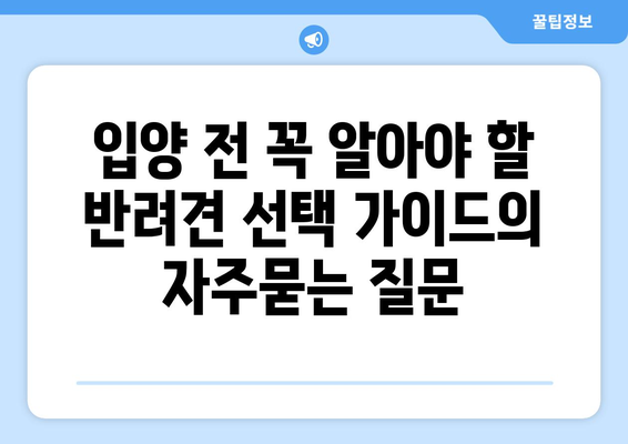 입양 전 꼭 알아야 할 반려견 선택 가이드