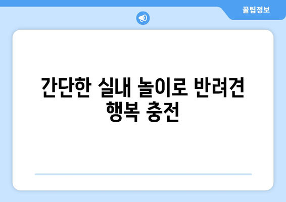 실내 놀이를 통한 반려견의 스트레스 해소법