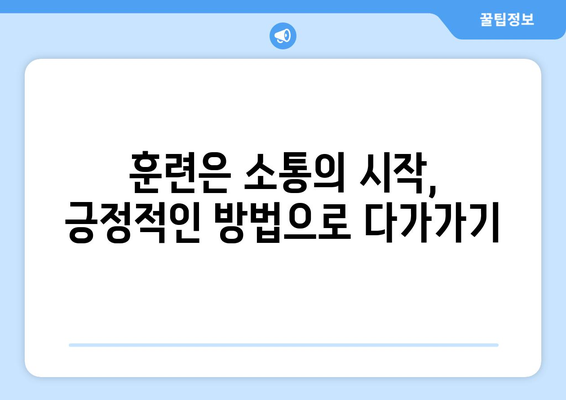 반려견의 행동 이해를 위한 소통 방법