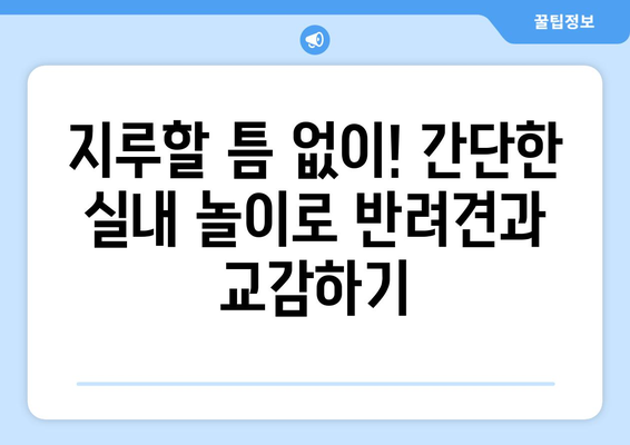 실내에서 반려견과 함께 할 수 있는 놀이 아이디어