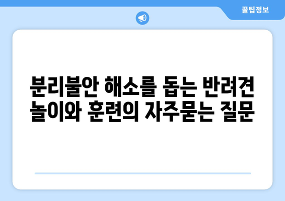 분리불안 해소를 돕는 반려견 놀이와 훈련