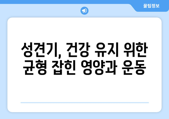 성장 단계에 맞춘 반려견의 건강 관리 방법