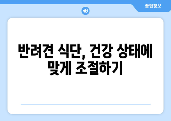 건강한 반려견을 위한 균형 잡힌 식단 구성