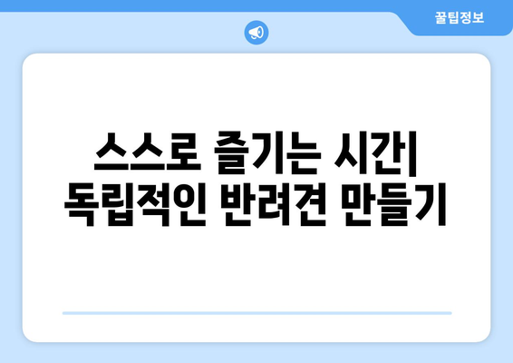 분리불안 예방을 위한 반려견 놀이 추천