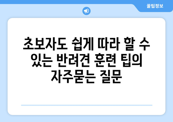 초보자도 쉽게 따라 할 수 있는 반려견 훈련 팁