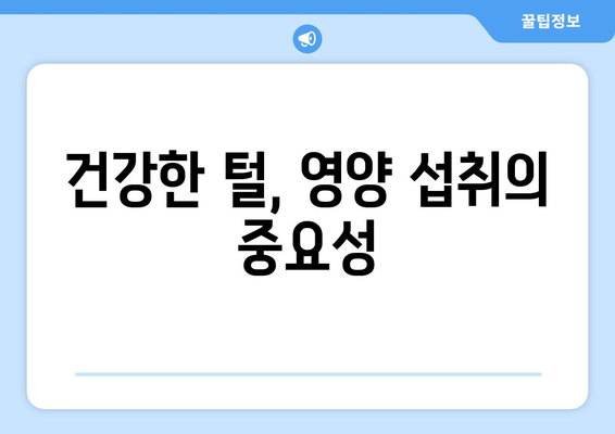 털 빠짐 문제 해결, 반려견 털 관리법